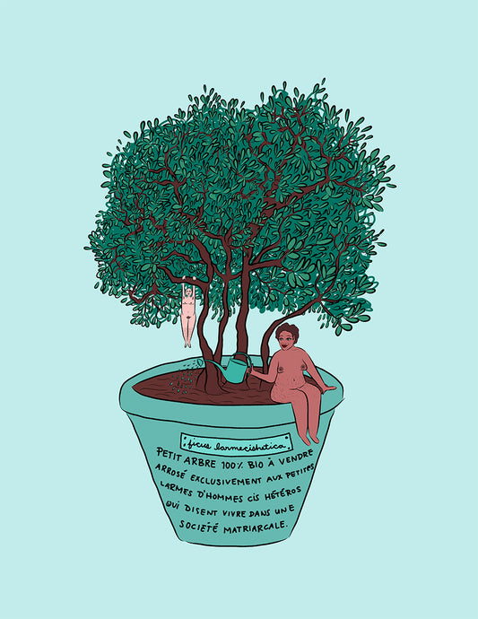 Ficus larmecishetica - Impression A4